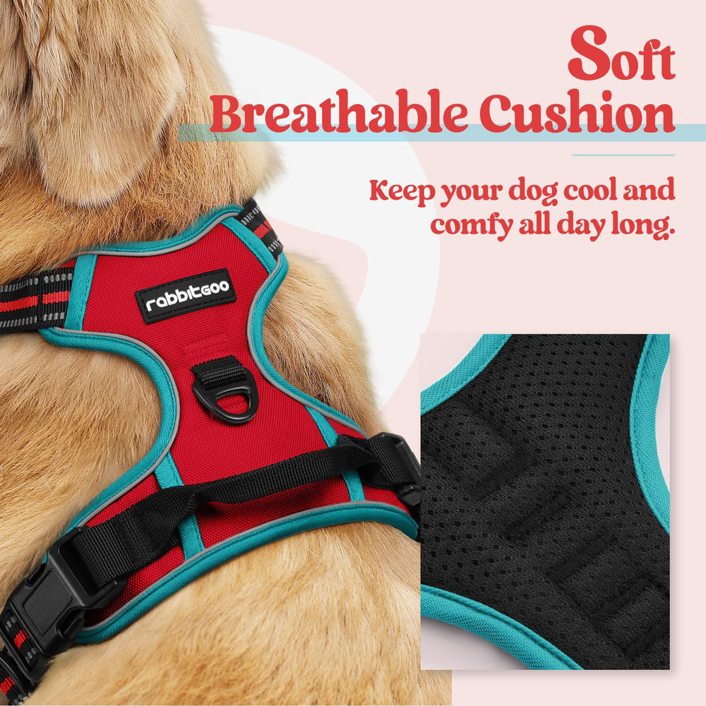 Rabbitgoo No-Pull dog harness back view highlights dual leash clips for versatile control.