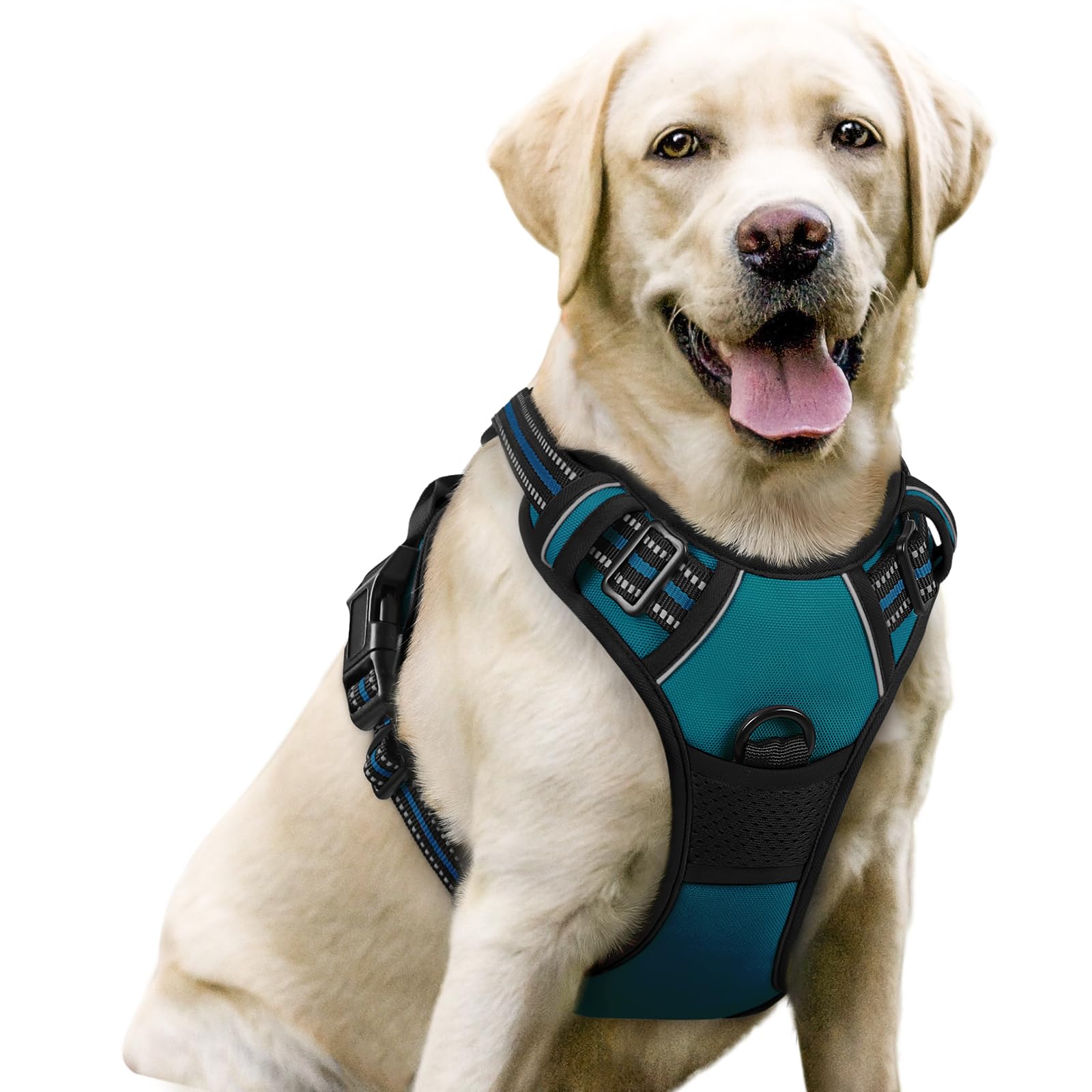 Rabbitgoo No-Pull Dog Harness in Blue Coral for safer, controlled walks