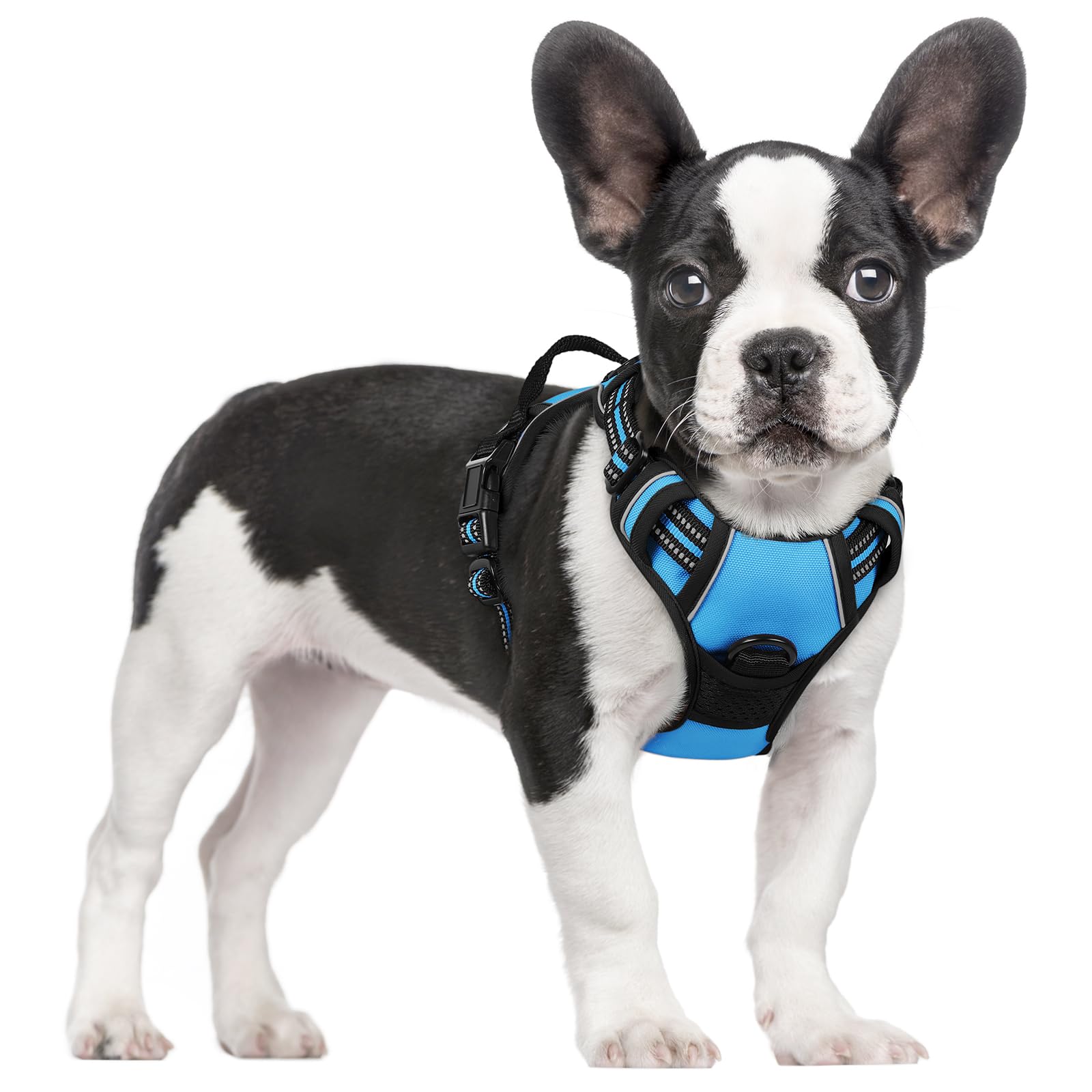 Rabbitgoo no-pull dog harness blue front view with reflective trim for safety.