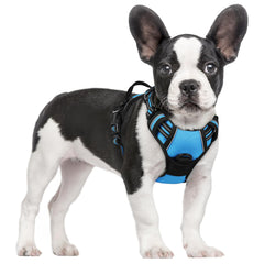 Rabbitgoo no-pull dog harness blue front view with reflective trim for safety.