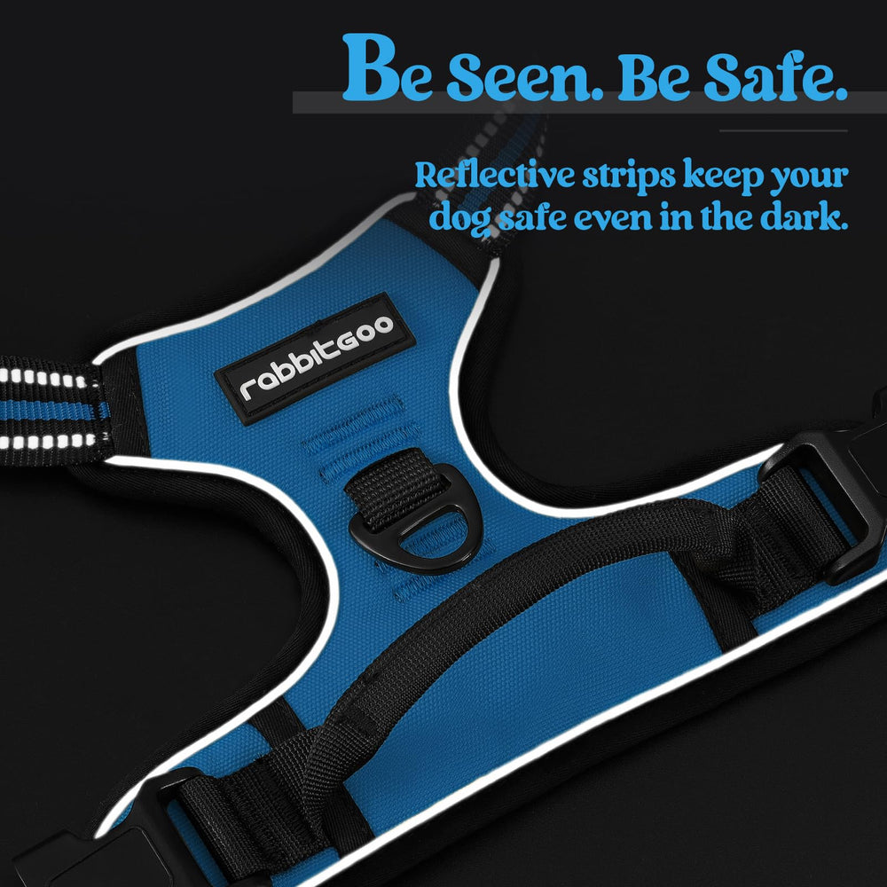 Rabbitgoo adjustable blue straps ensure secure fit for small dogs.