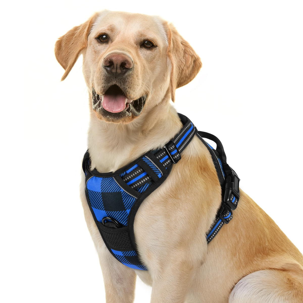 Rabbitgoo no-pull blue plaid dog harness for safer daily walks
