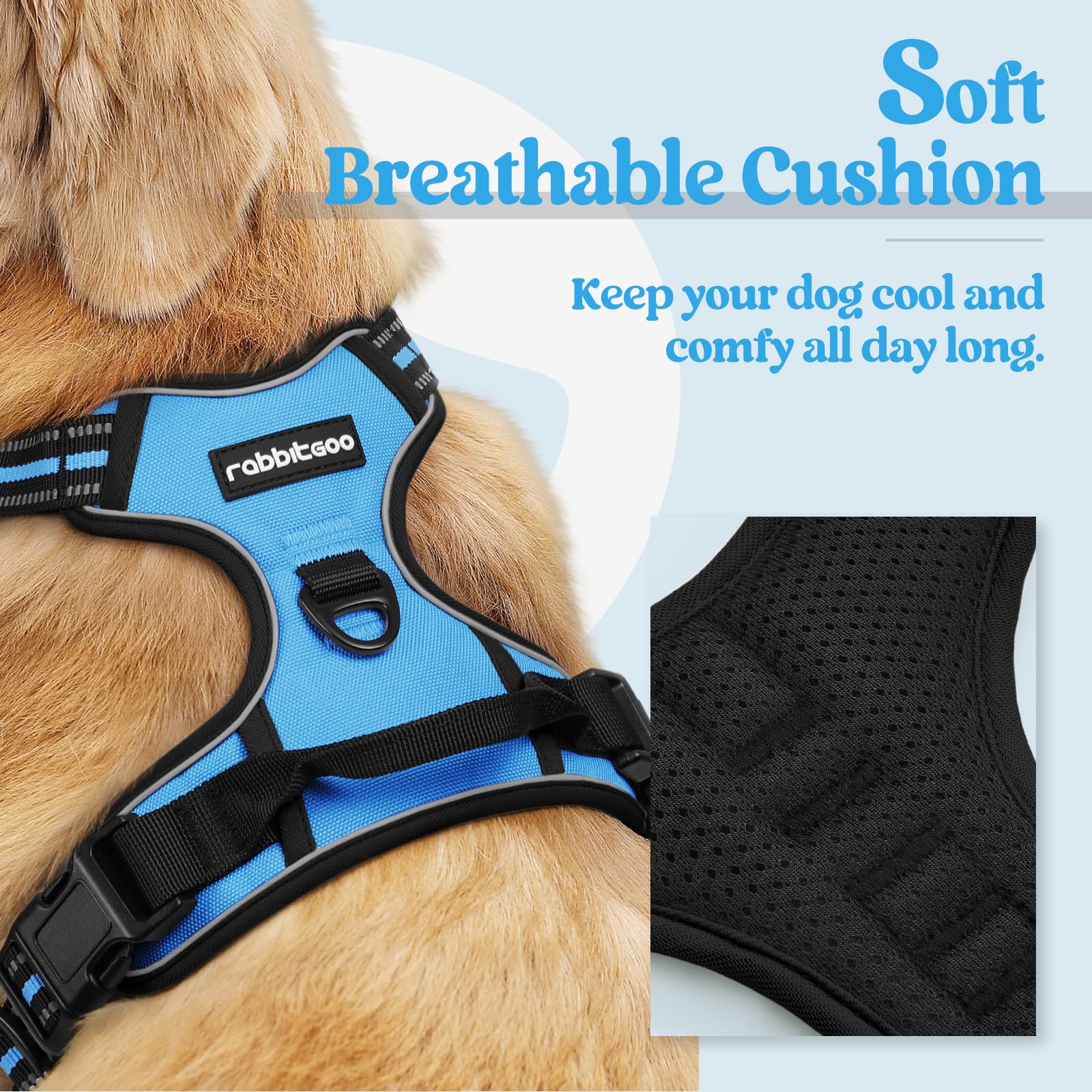 Rabbitgoo blue side view shows dual leash clips for better control.