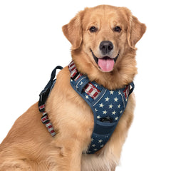 Rabbitgoo no-pull blue star front view for safer walks