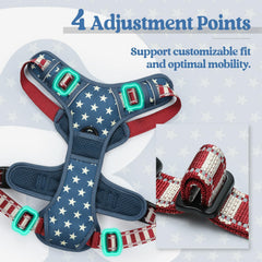 rabbitgoo padded harness close-up highlighting soft cushioning and comfort