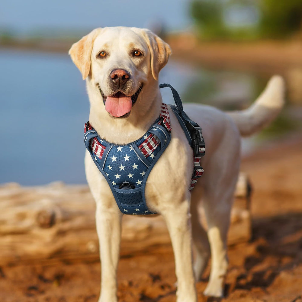 Rabbitgoo XL blue star harness designed for large breeds