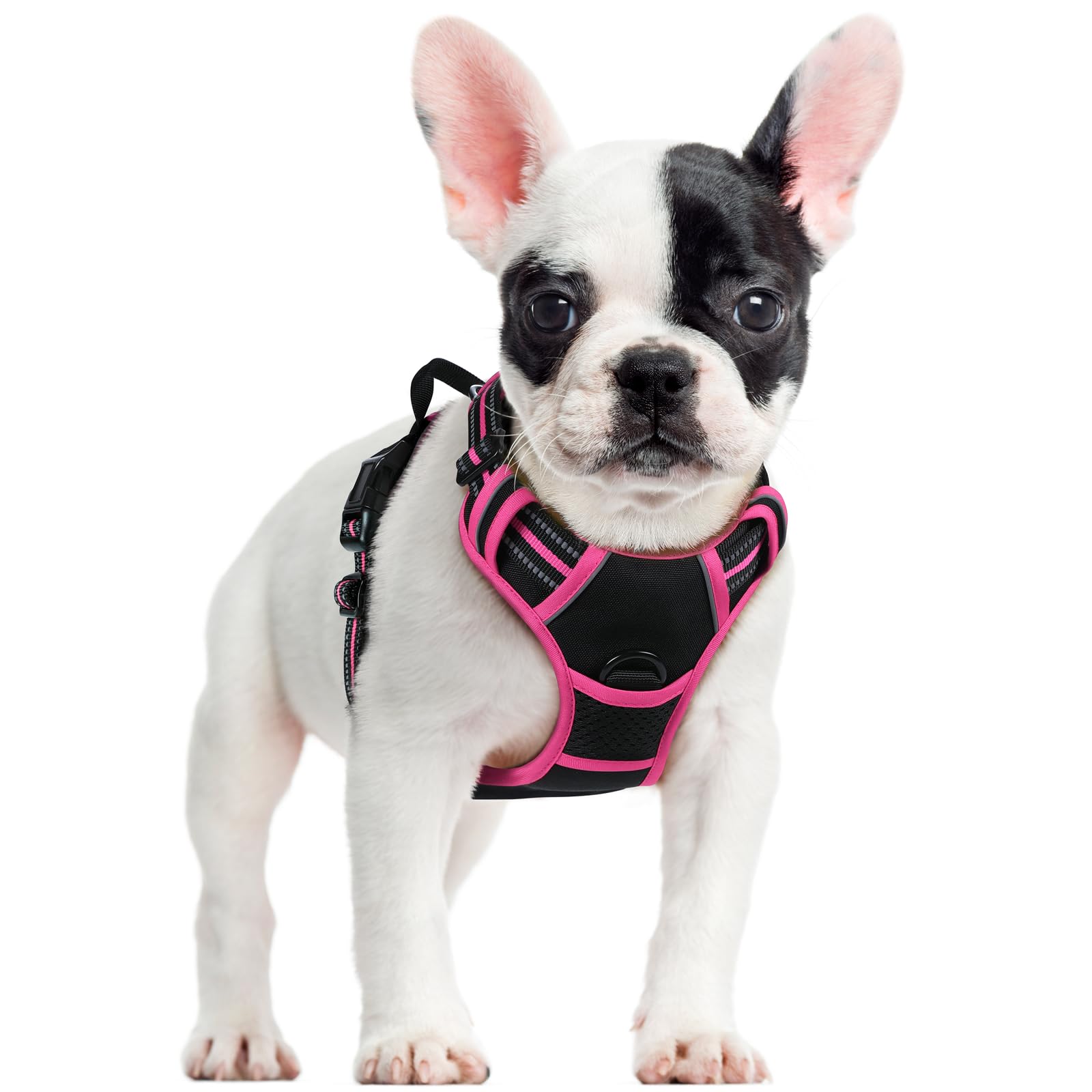 Rabbitgoo no-pull dog harness with chest clip for safer everyday walks