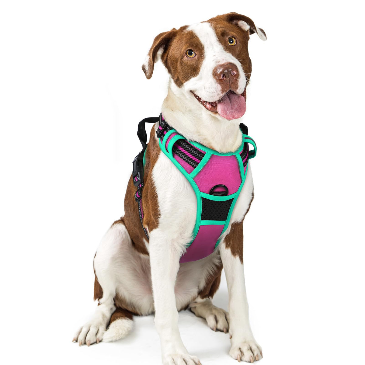 Rabbitgoo dog harness with no-pull chest clip in hot pink turquoise for safer walks.