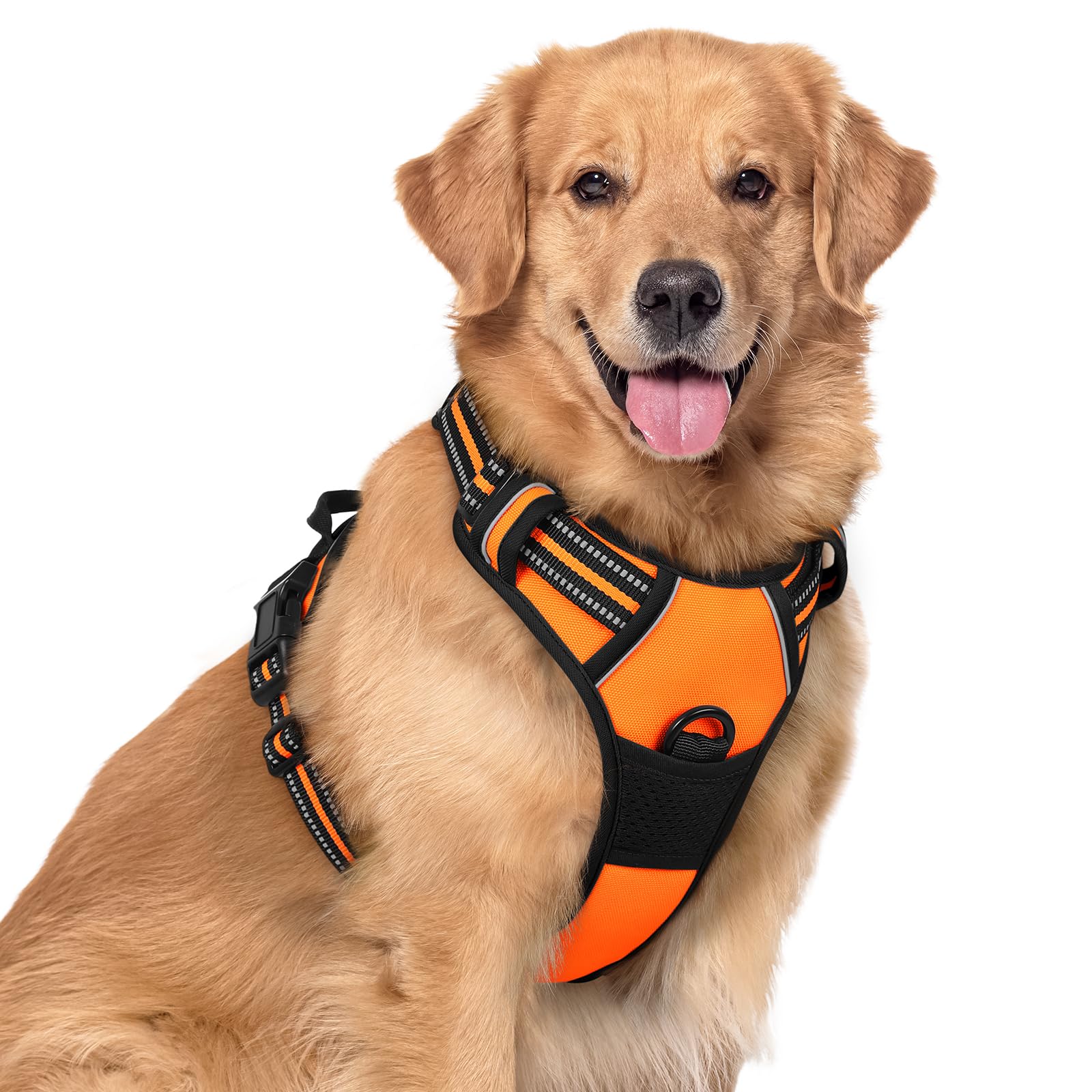 Rabbitgoo dog harness with chest clip for no-pull control during walks