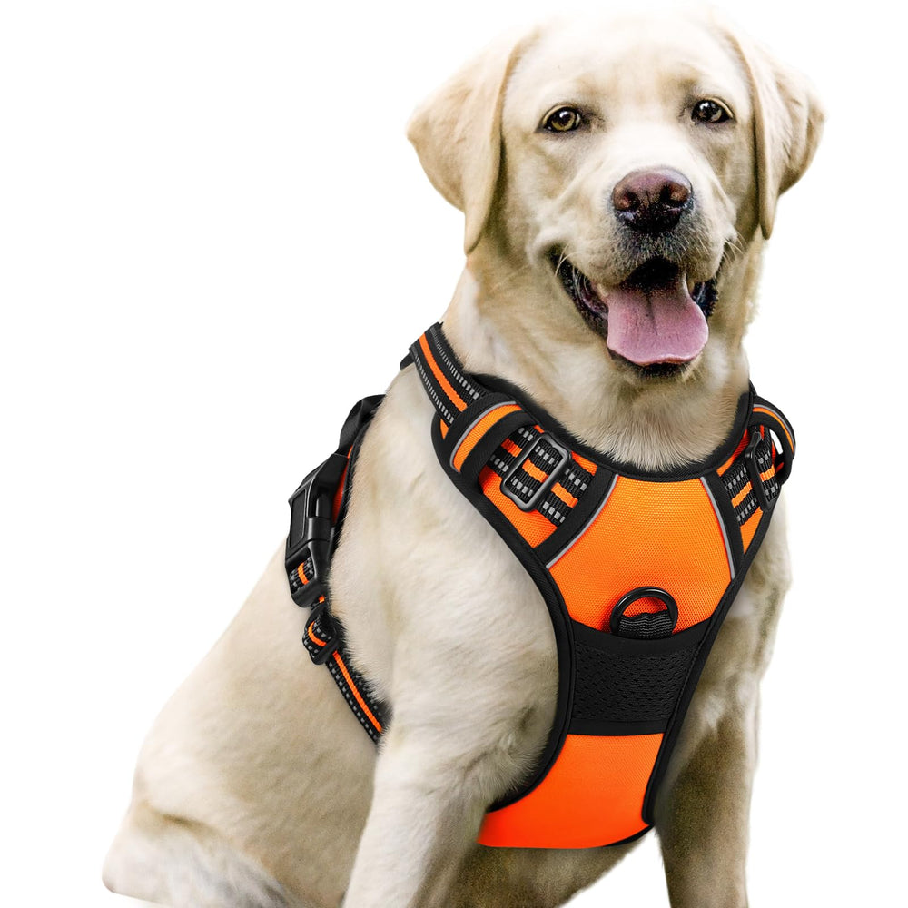 Rabbitgoo dog harness with no-pull chest clip for safer walks and training.