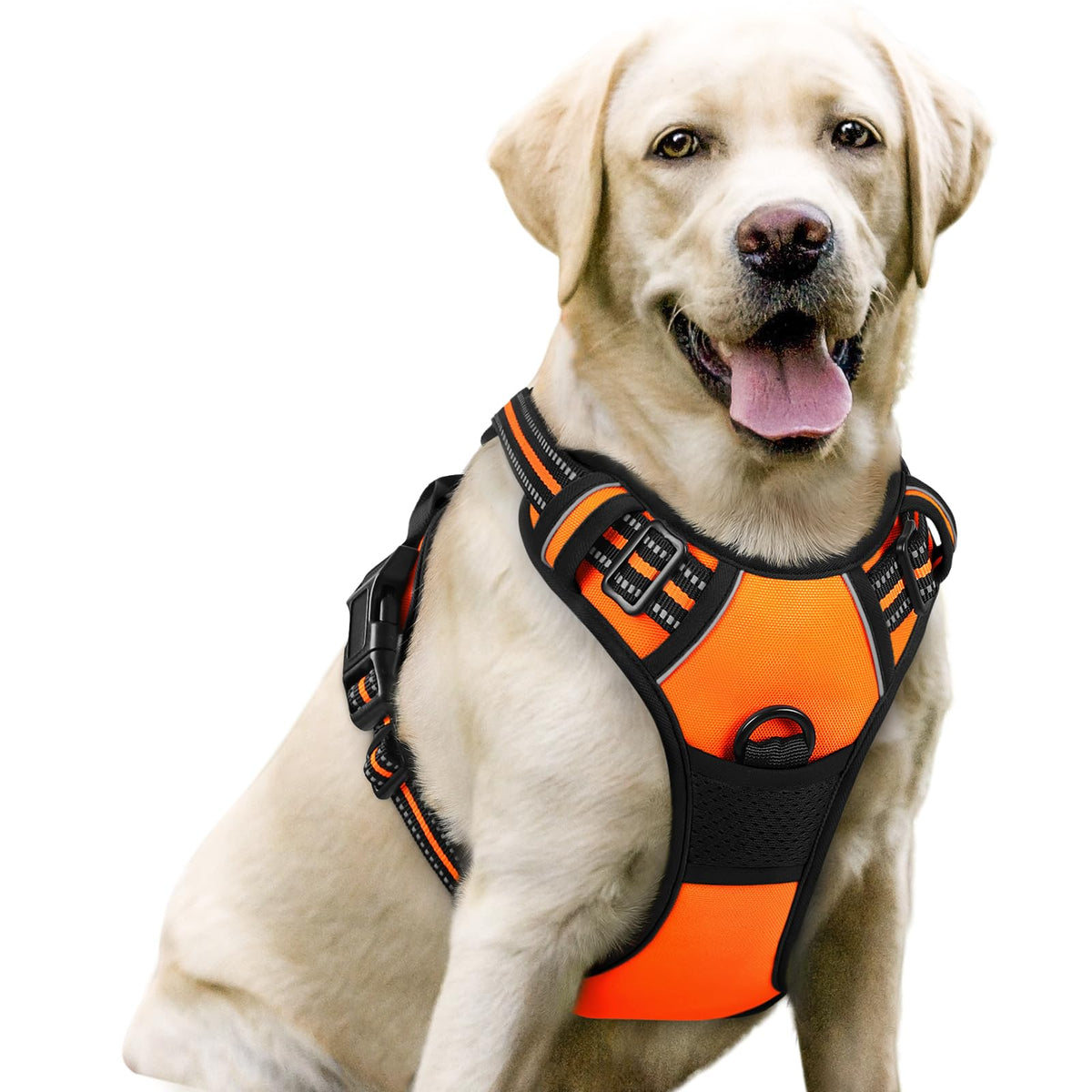 Rabbitgoo dog harness with no-pull chest clip for safer walks and training.