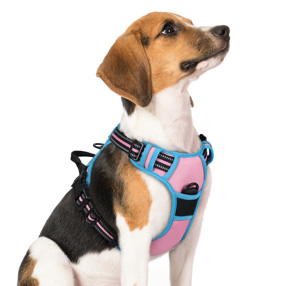 Rabbitgoo dog harness with no-pull chest clip for safer, controlled walks.