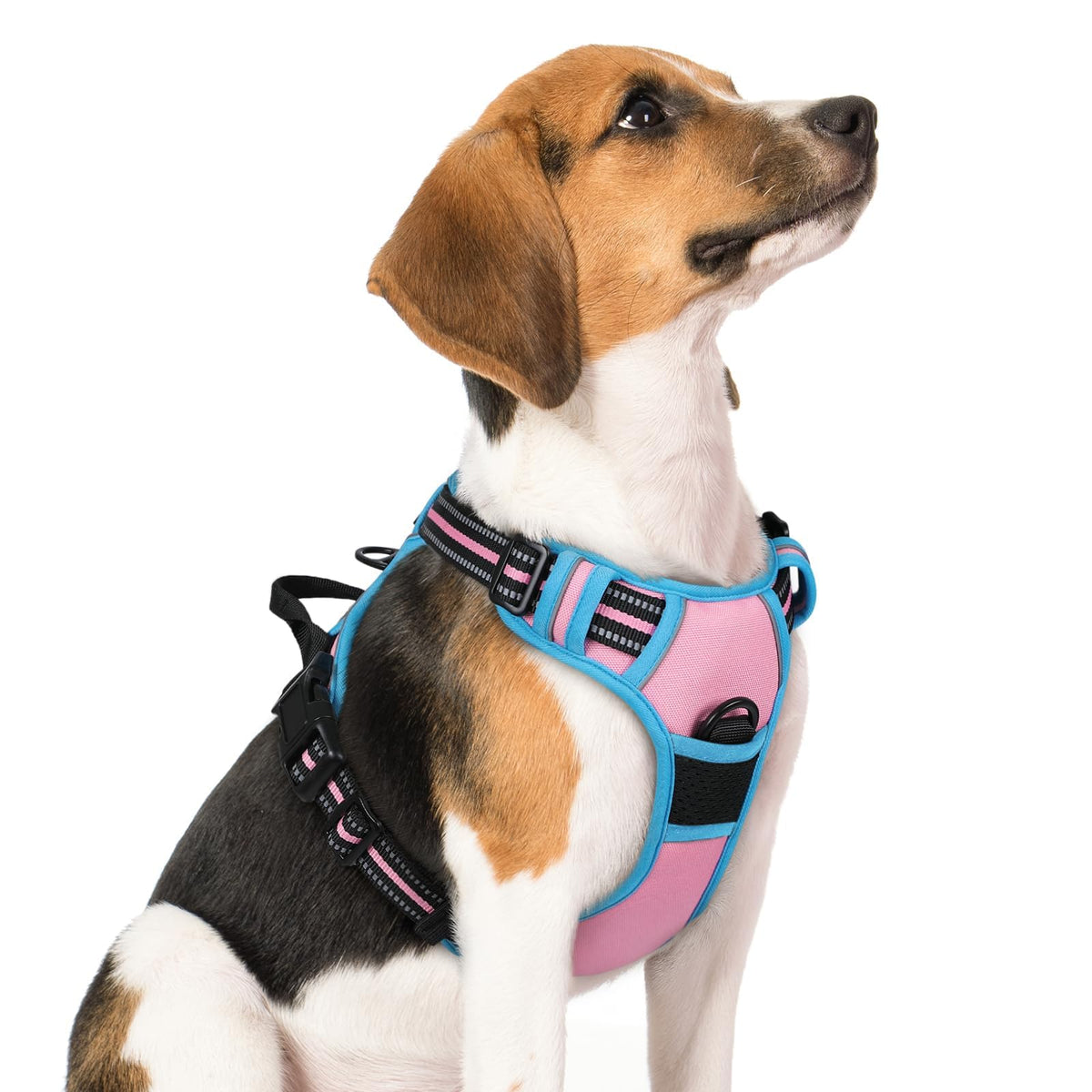 Rabbitgoo dog harness with no-pull chest clip for safer, controlled walks.