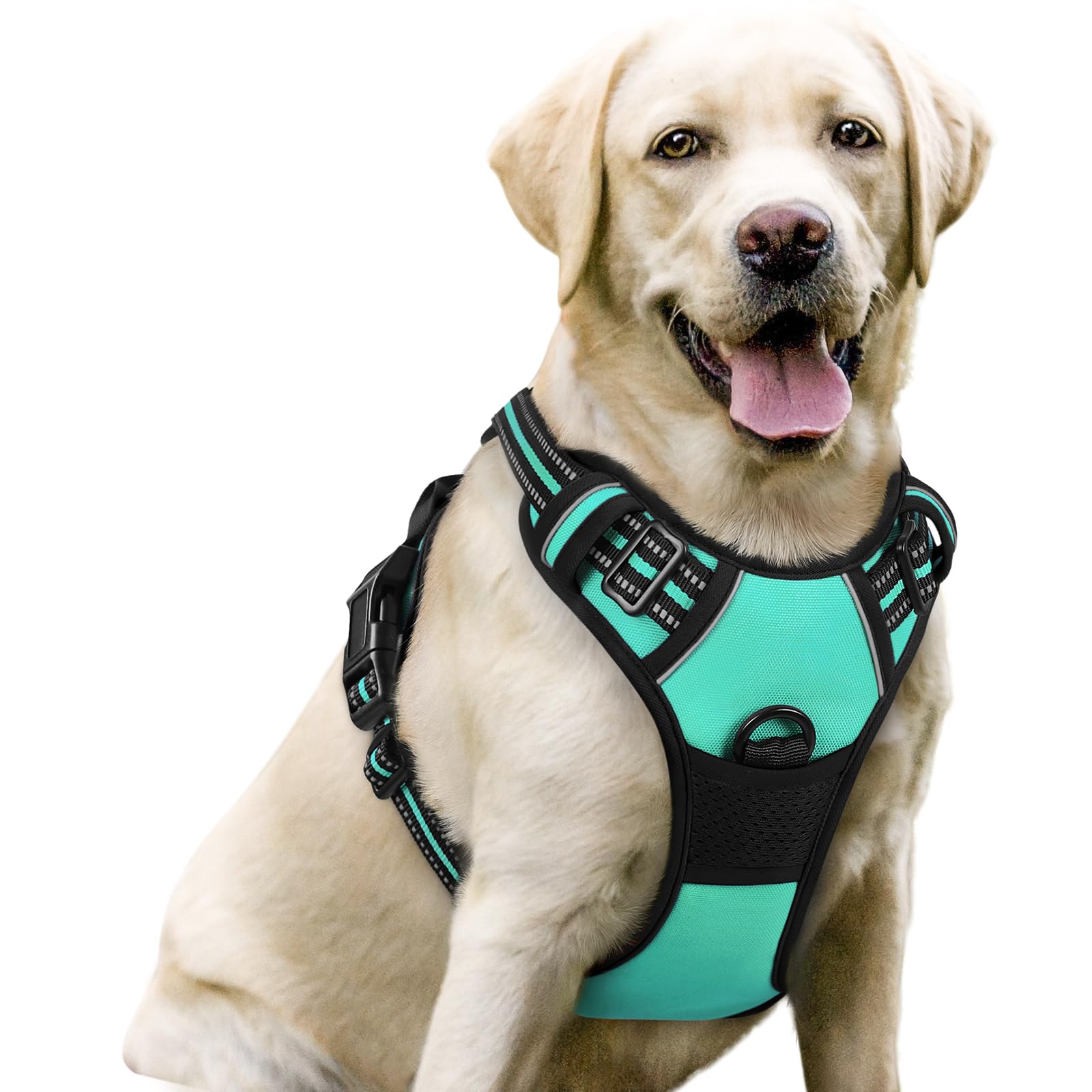 Rabbitgoo turquoise no-pull dog harness with chest clip for safer walks.