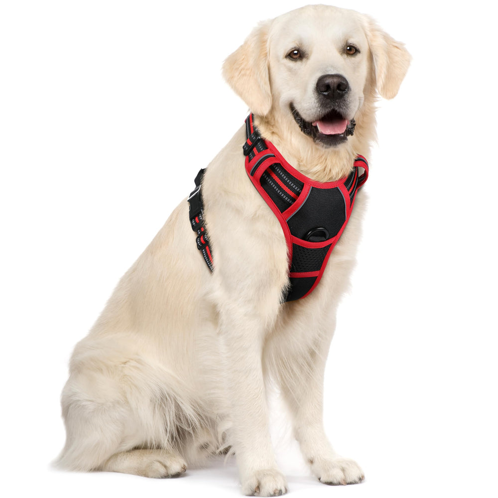 Rabbitgoo dog harness with chest clip helps curb pulling on walks.