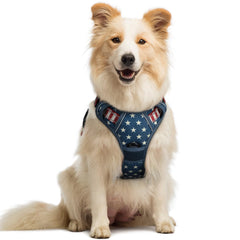 Rabbitgoo dog harness No Pull Chest Clip for safer, controlled walks.