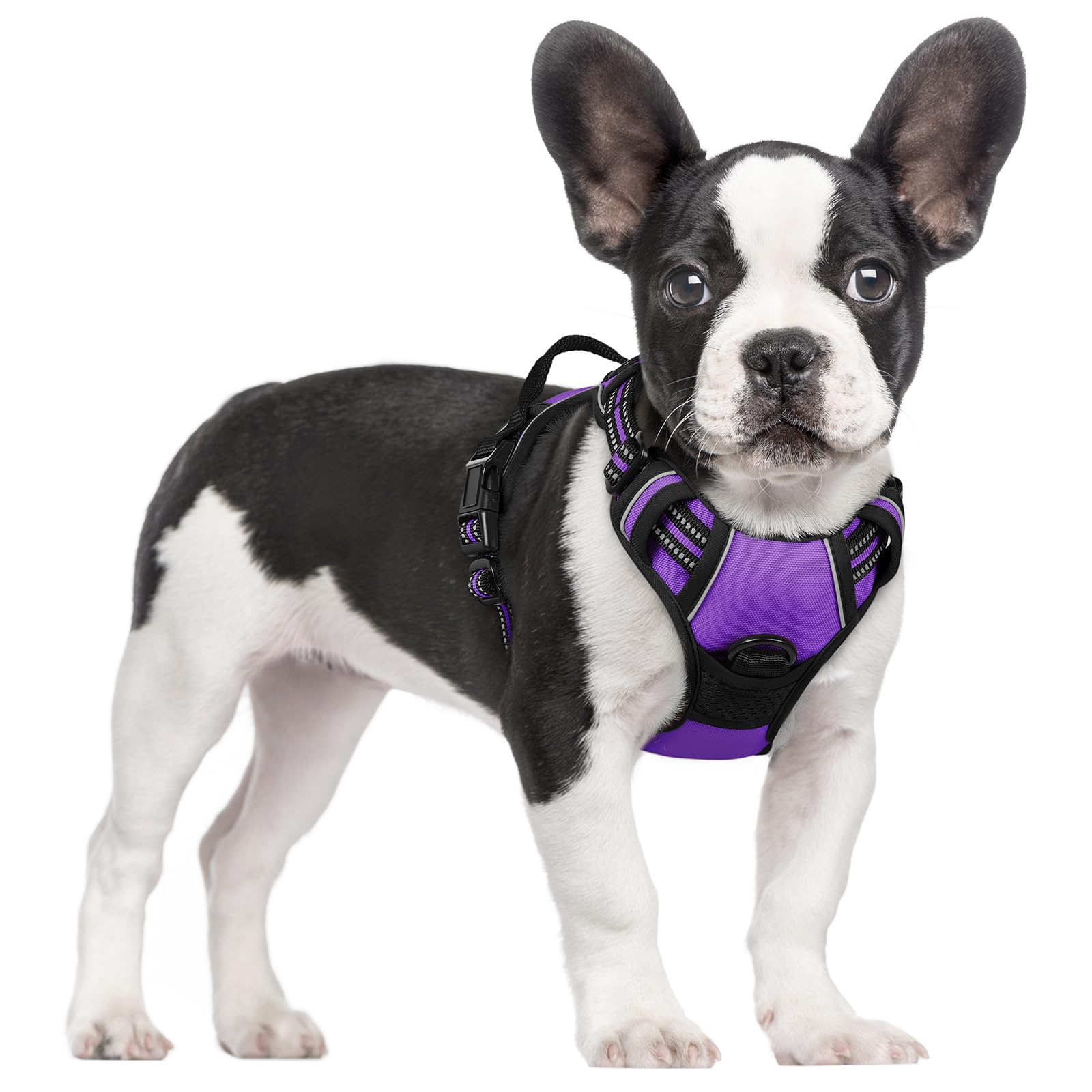 Rabbitgoo dog harness with no-pull chest clip for safer training