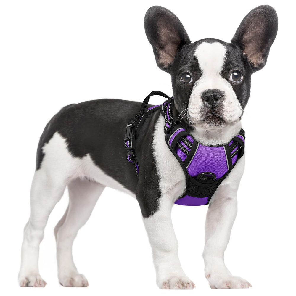 Rabbitgoo dog harness with no-pull chest clip for safer training
