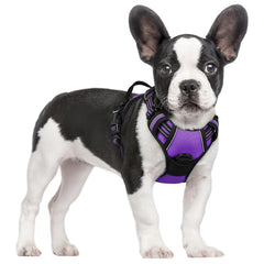Rabbitgoo dog harness with no-pull chest clip for safer training