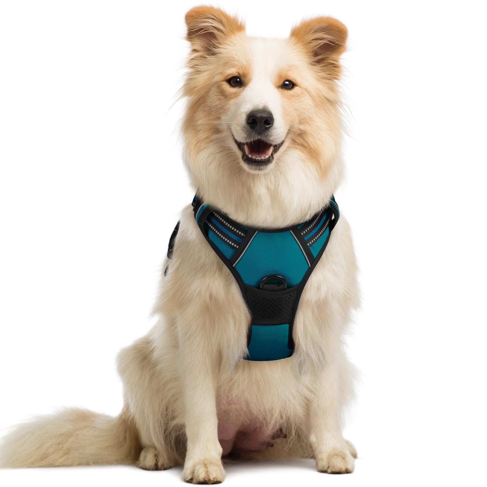 Rabbitgoo dog harness with chest clip for no-pull control during walks
