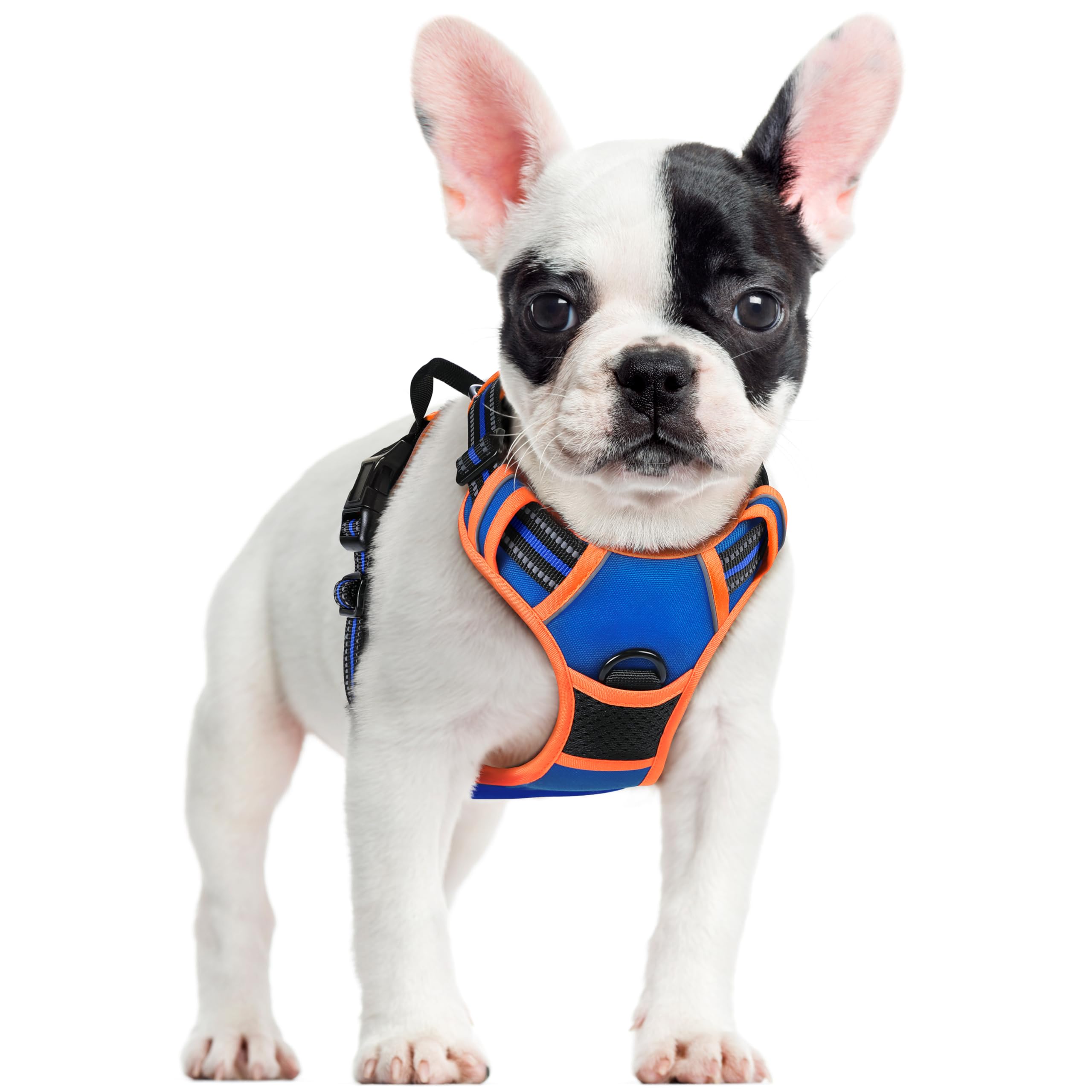 Rabbitgoo no-pull dog harness with chest clip for training and safety