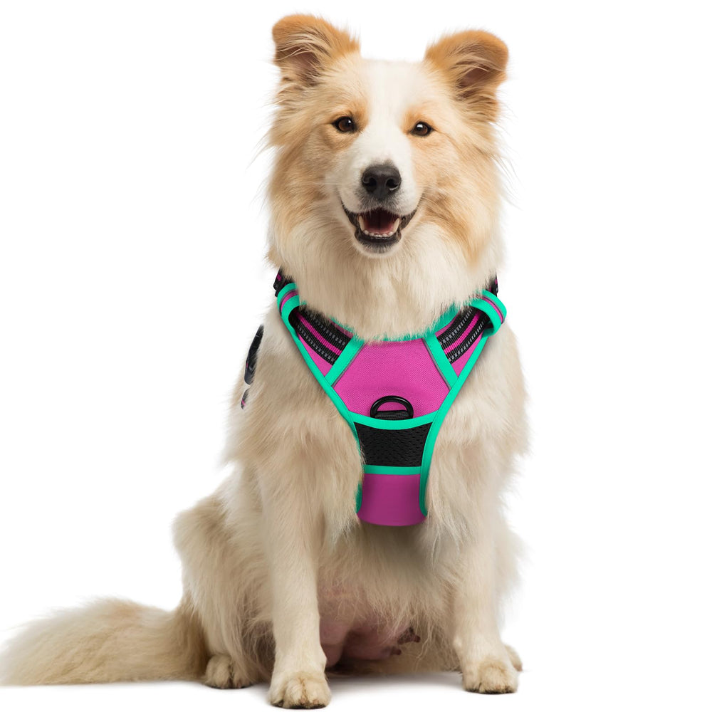 Rabbitgoo no-pull harness with chest clip for safer training and walks