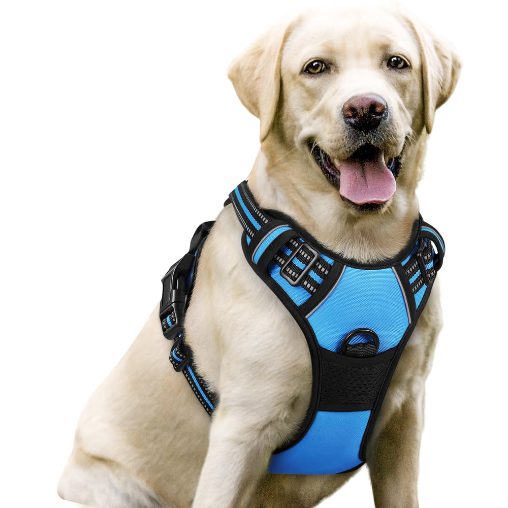 Rabbitgoo No-Pull Harness with chest clip for safer walks and better control