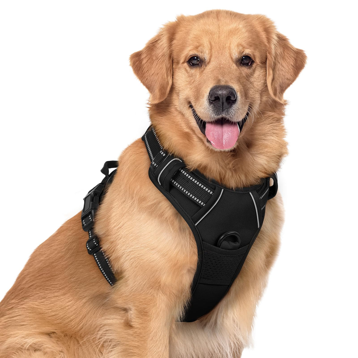 Rabbitgo o no-pull harness with dual clips for safer walks