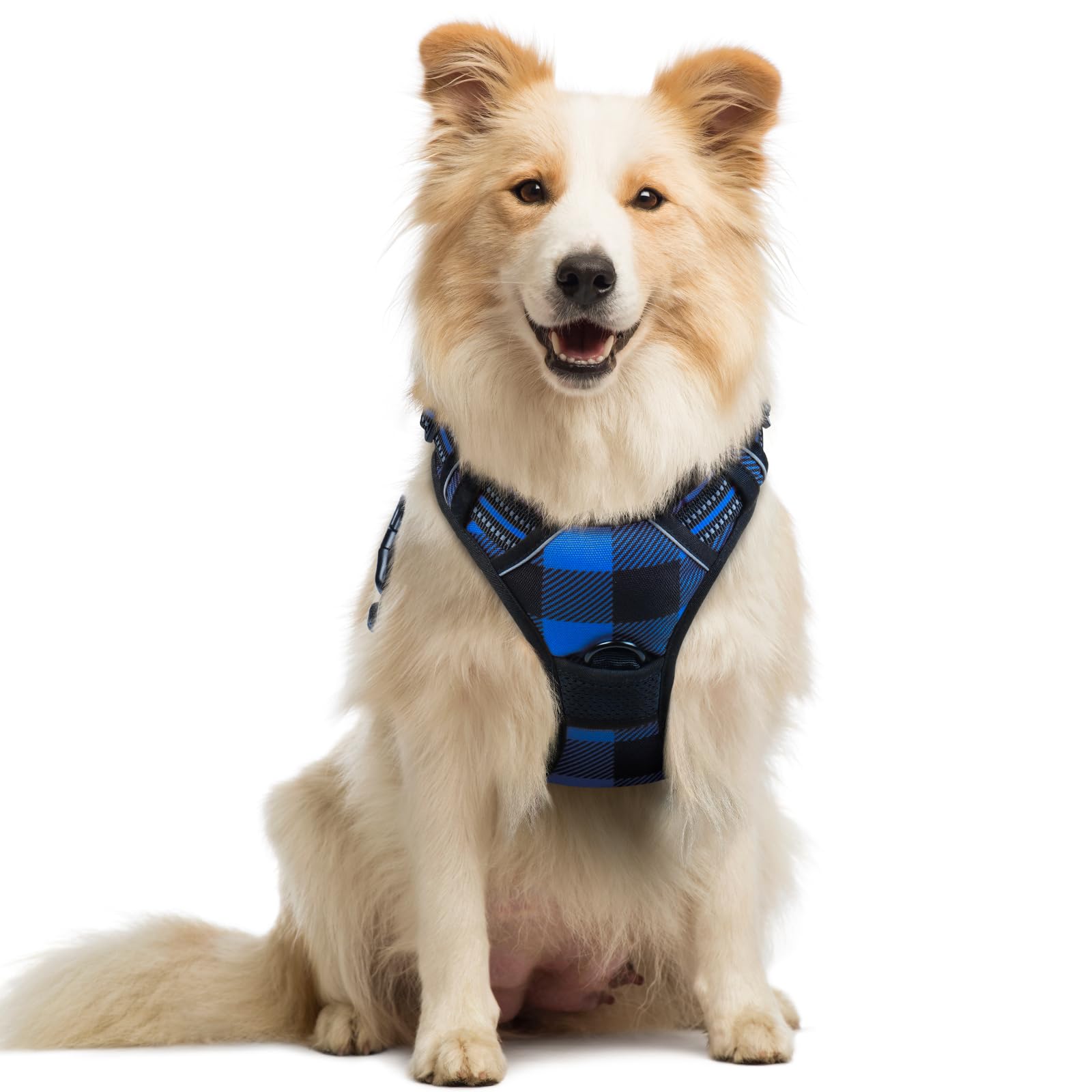 Rabbitgoo no-pull dog harness with dual leash clips for safer walks