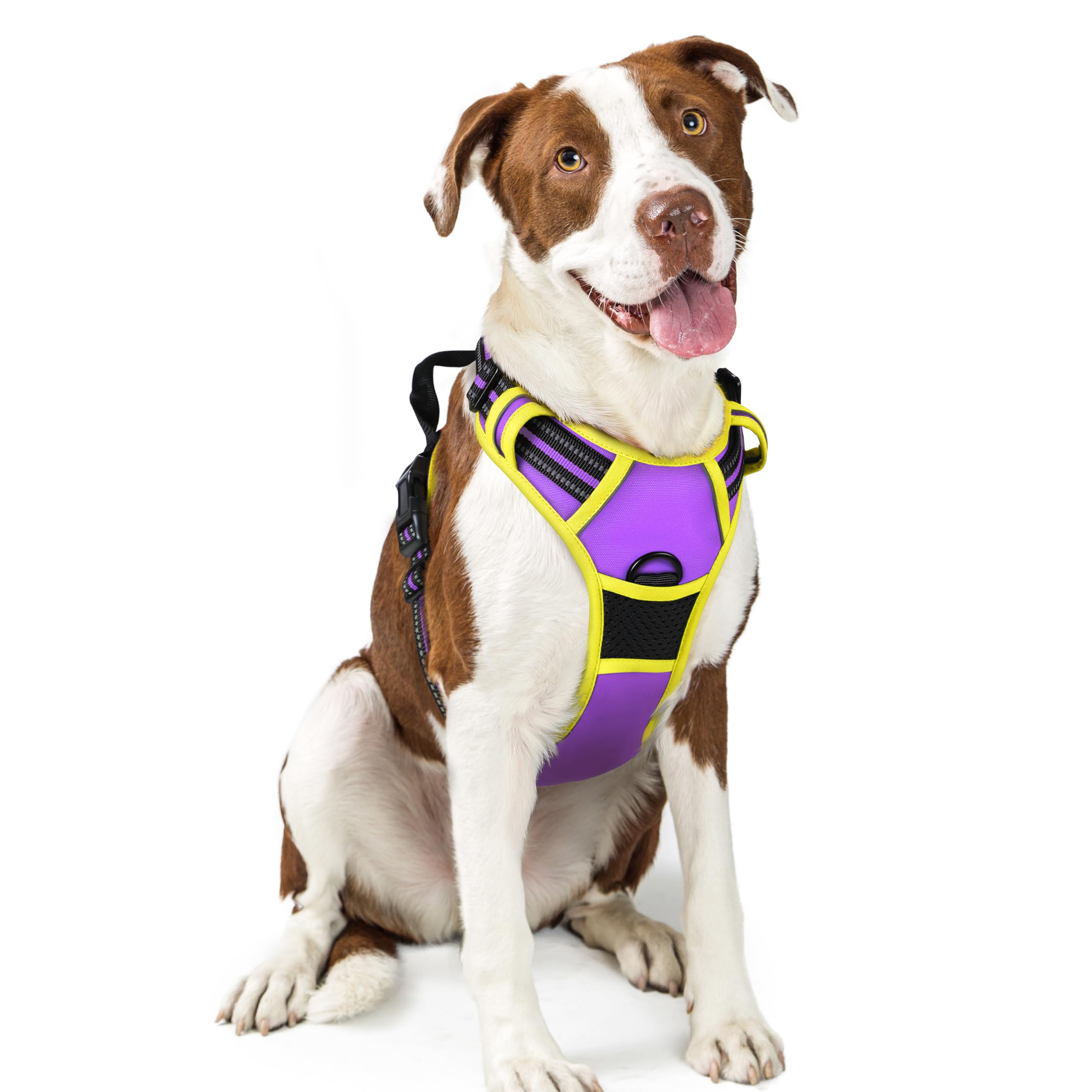 Rabbitgoo harness with no-pull dual leash clips for safer, controlled walks.