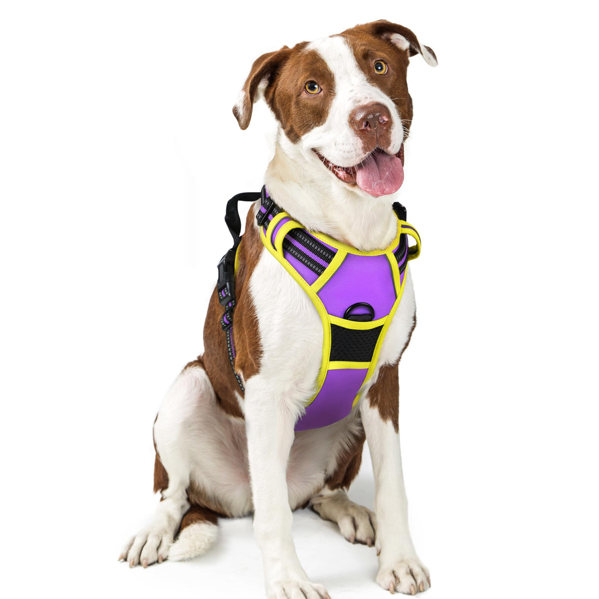Rabbitgoo harness with no-pull dual leash clips for safer, controlled walks.