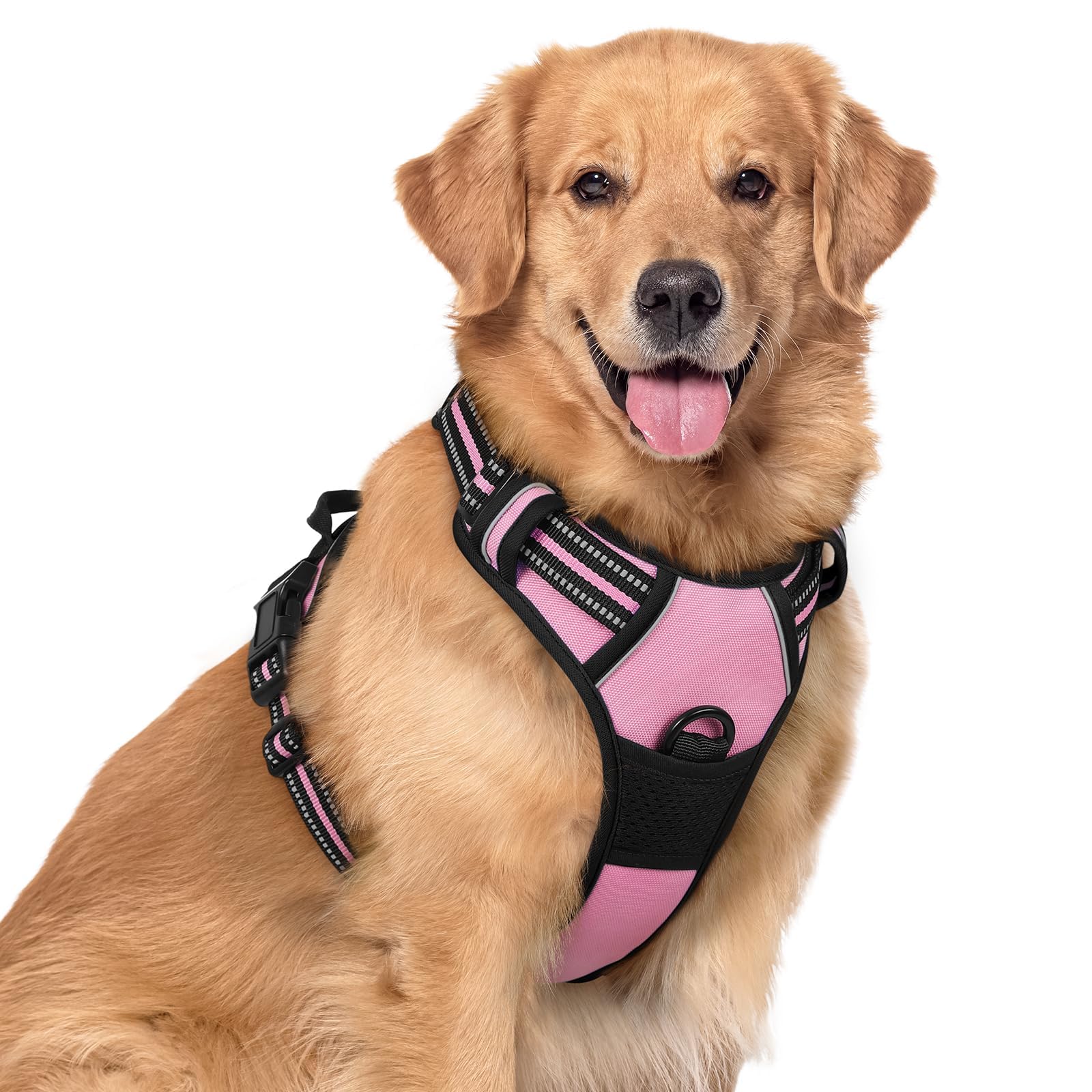 Rabbitgoo dog harness with front chest clip for no-pull control during walks.
