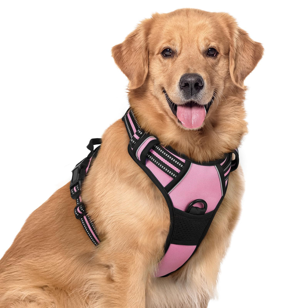 Rabbitgoo dog harness with front chest clip for no-pull control during walks.