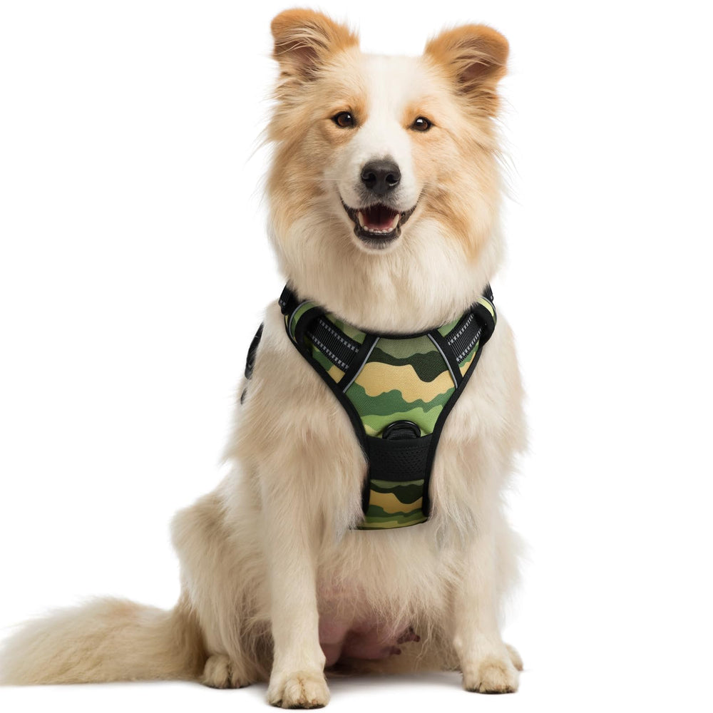 Rabbitgoo no-pull front clip harness front view for controlled walks.