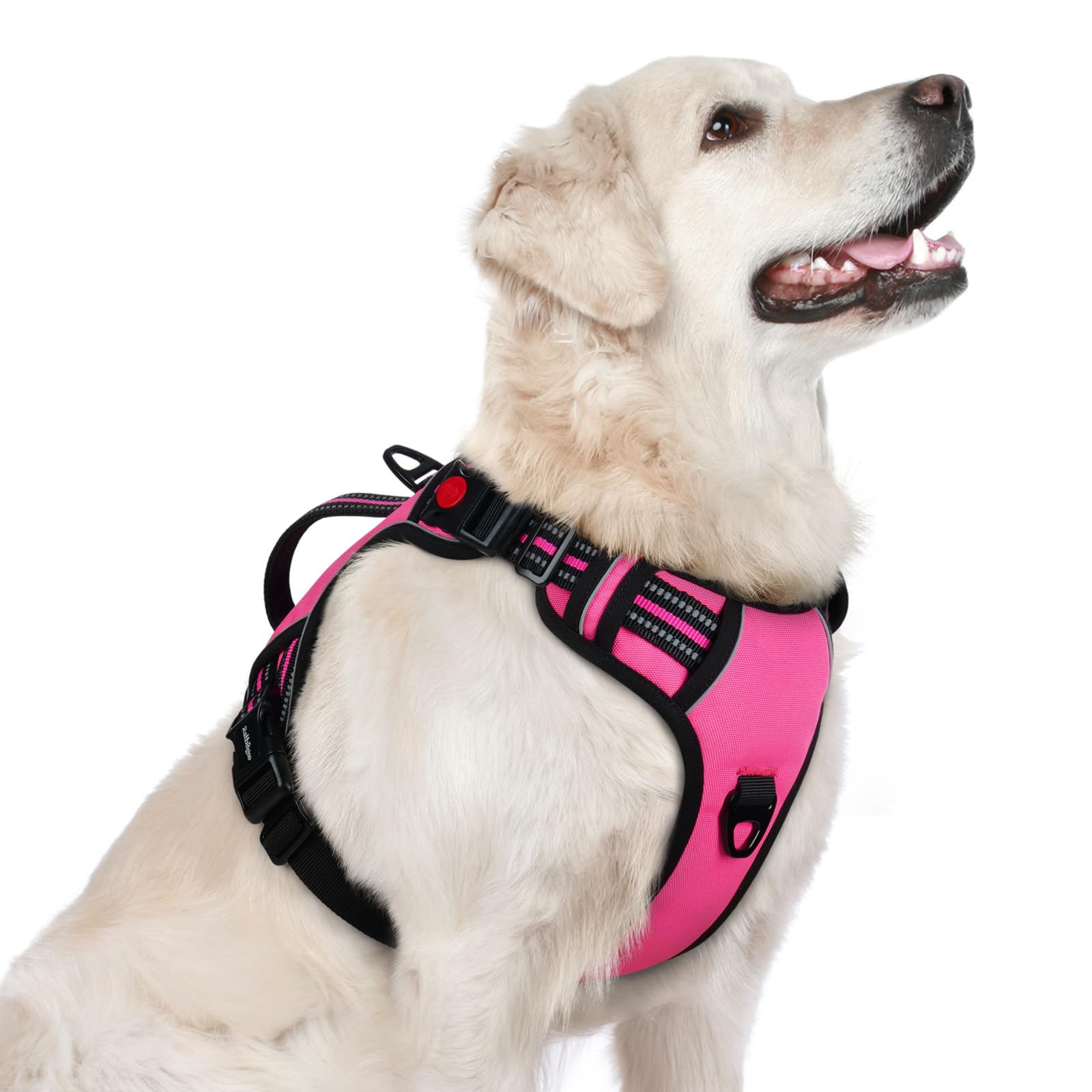 Rabbitgoo dog harness front-clip for no-pull control during walks