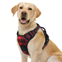Rabbitgoo harness with front clip reduces pulling for safer walks.