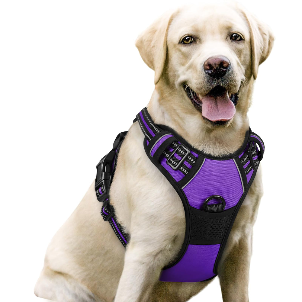 Rabbitgoo dog harness with front chest clip for no-pull training.