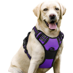 Rabbitgoo dog harness with front chest clip for no-pull training.