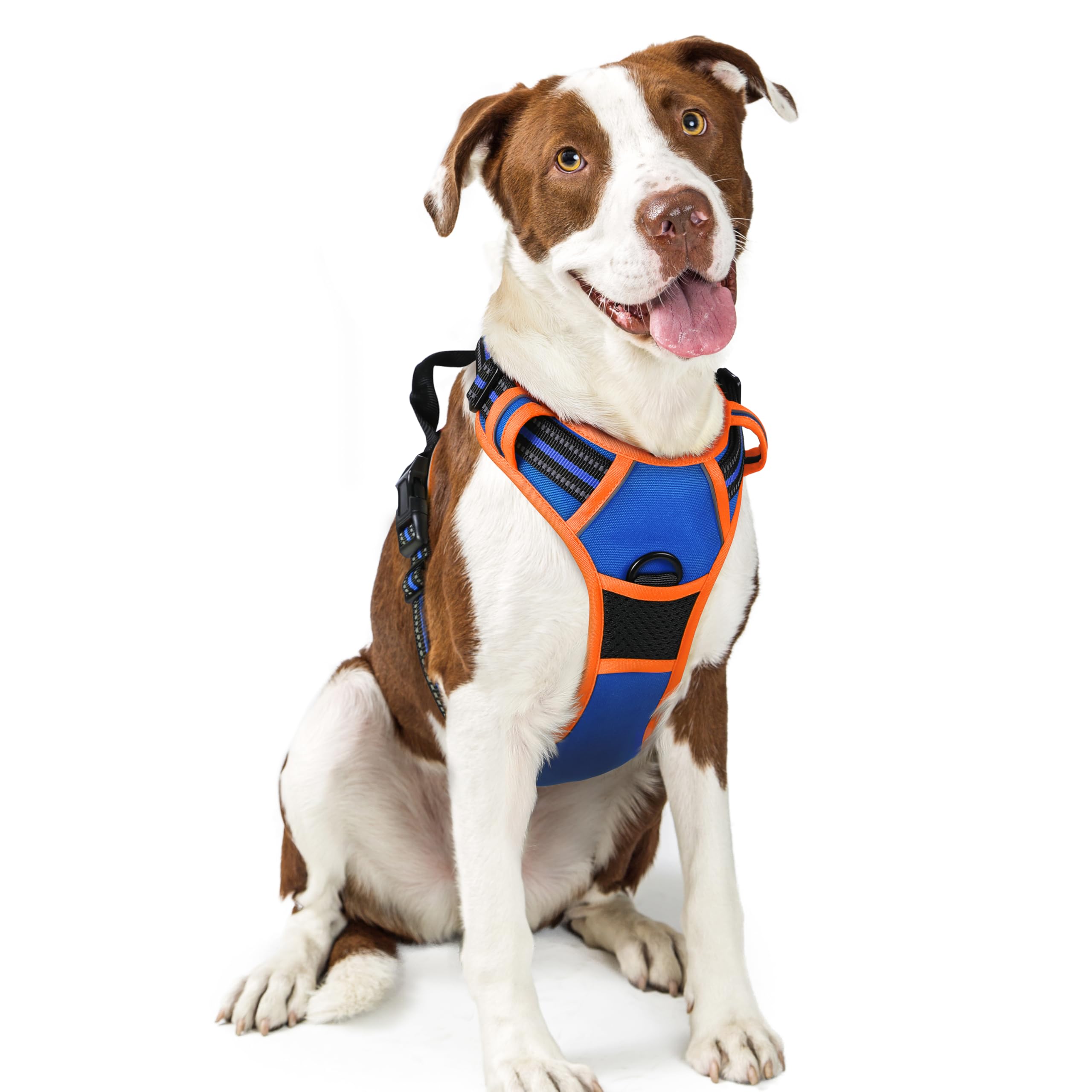 Rabbitgoo No Pull harness front view in blue and orange for safer walks.