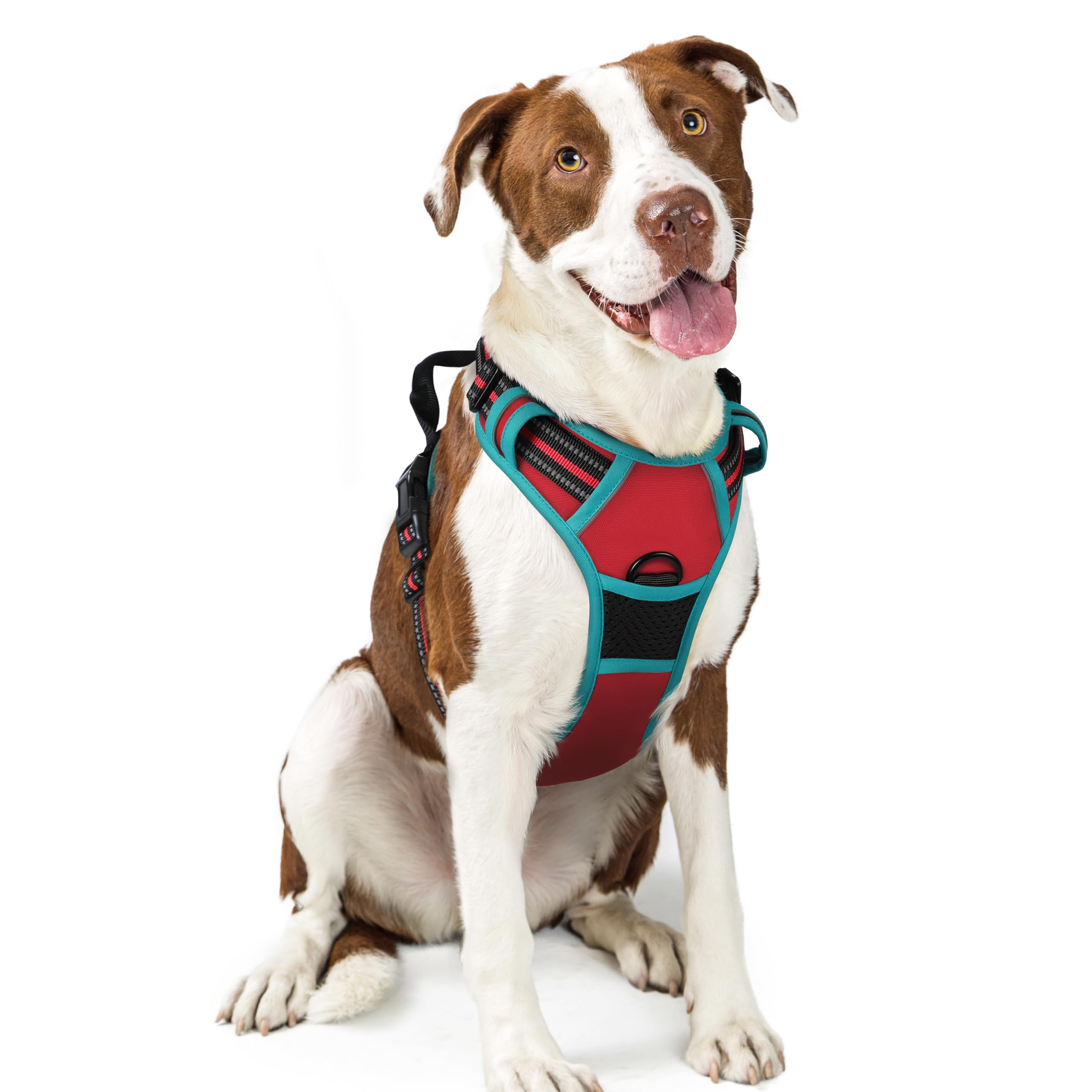 Rabbitgoo No-Pull dog harness front view for safer training and comfortable walks.