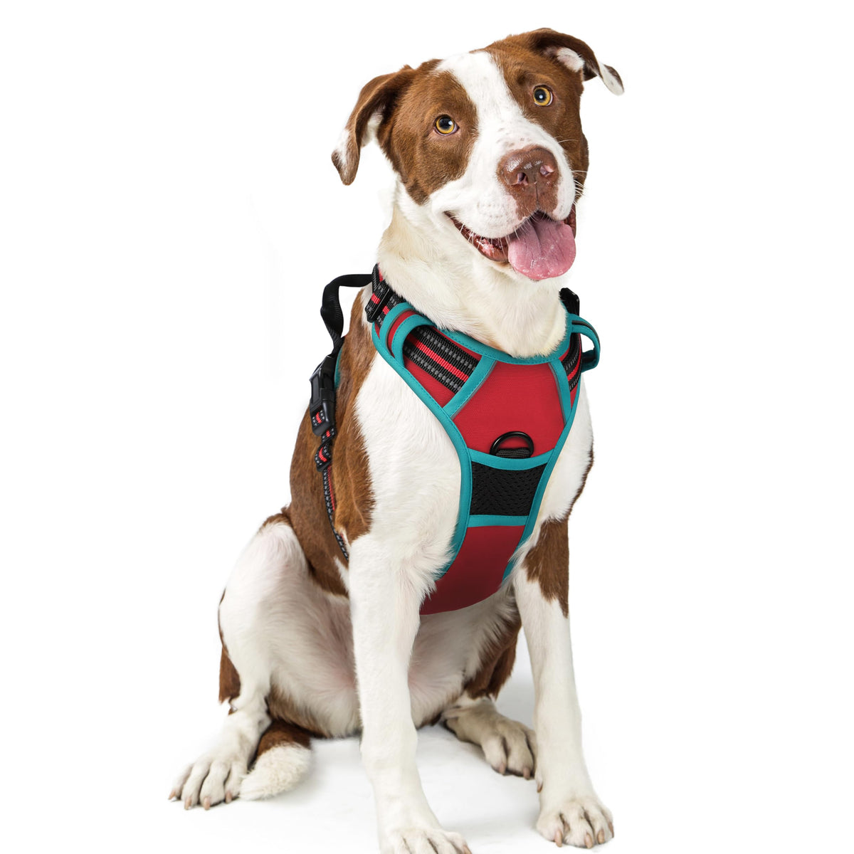 Rabbitgoo No-Pull dog harness front view for safer training and comfortable walks.