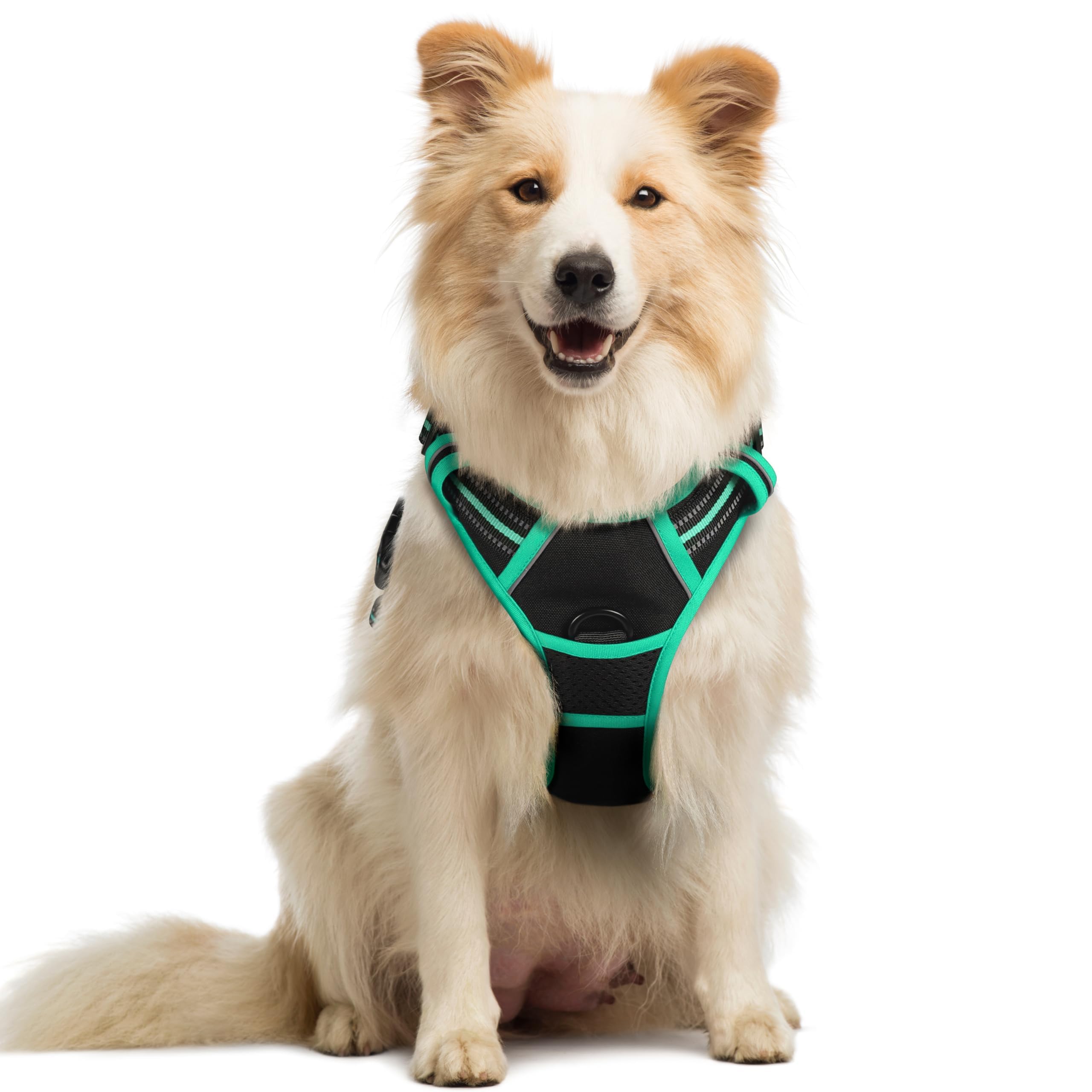 Rabbitgoo dog harness front view showing no-pull design for safer walks