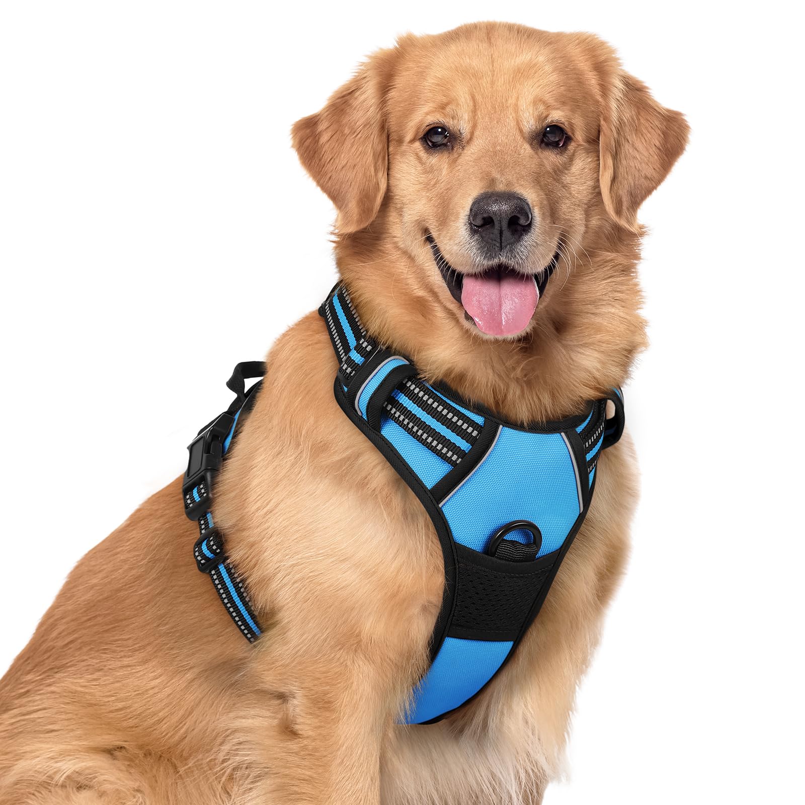 Rabbitgoo dog harness no-pull front view with dual leash clips for controlled walks