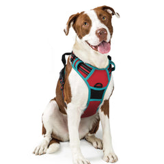 Rabbitgoo No-Pull dog harness front view for safer training and comfortable walks.