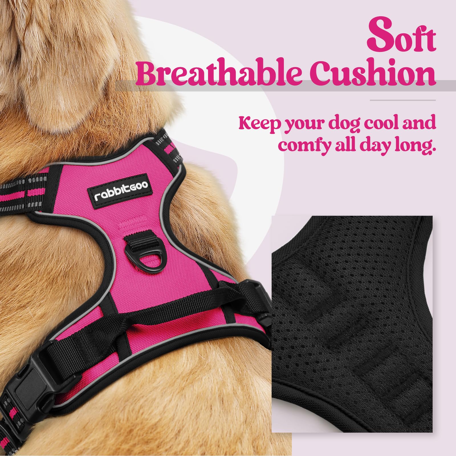 Rabbitgoo chest clip close-up showing front-leash control feature