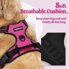 Rabbitgoo chest clip close-up showing front-leash control feature