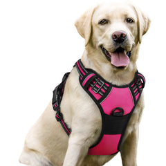 Rabbitgoo no-pull harness front view in hot pink for safer, stylish walks.