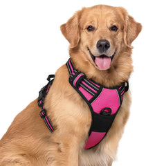 Rabbitgoo dog harness no pull hot pink front view for safer daily walks