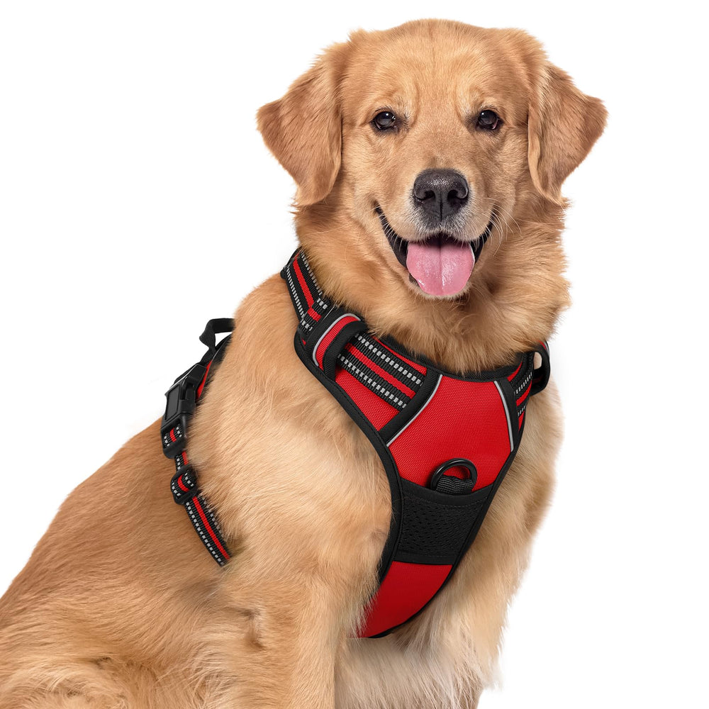 Rabbitgoo no-pull harness shown with overhead buckles for quick, comfortable on-off