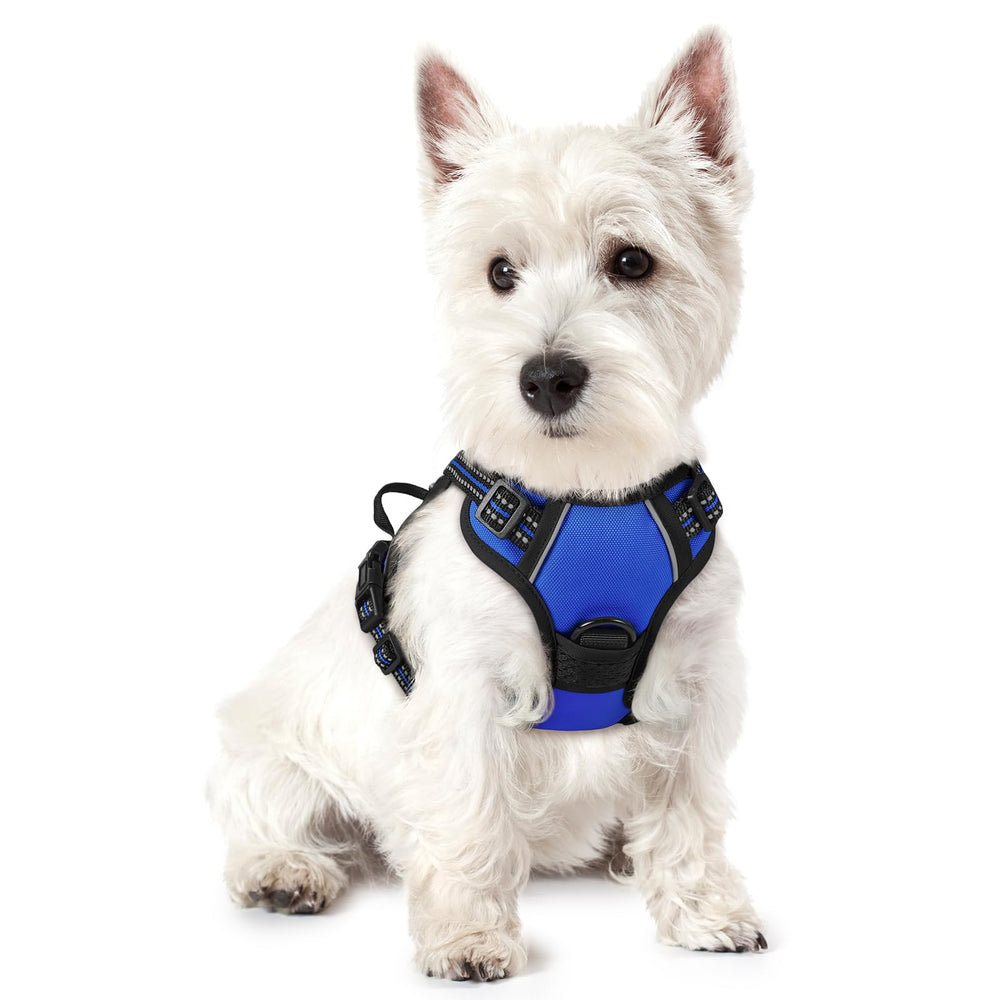 Rabbitgoo No Pull Harness with overhead strap provides easy on-and-off for small dogs.